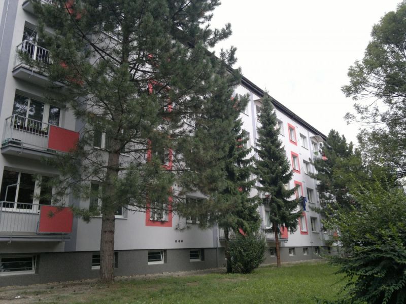 233.jpg