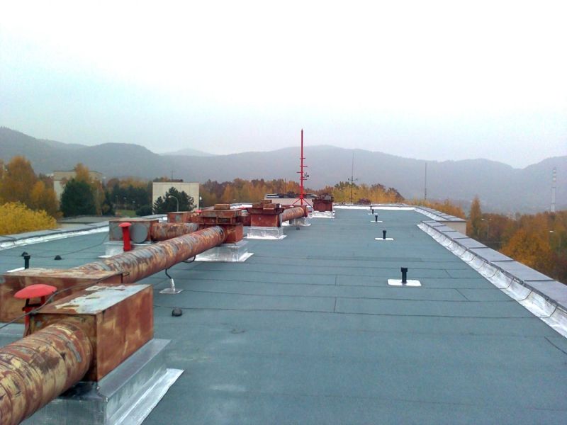 252.jpg
