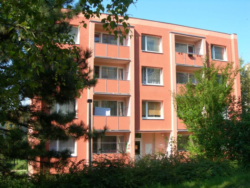 275.jpg