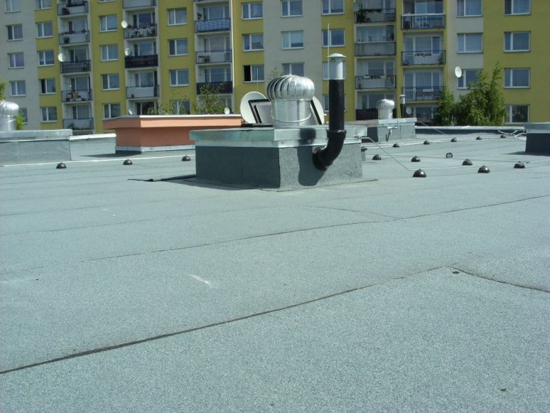 279.jpg