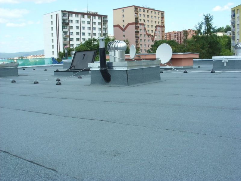 282.jpg