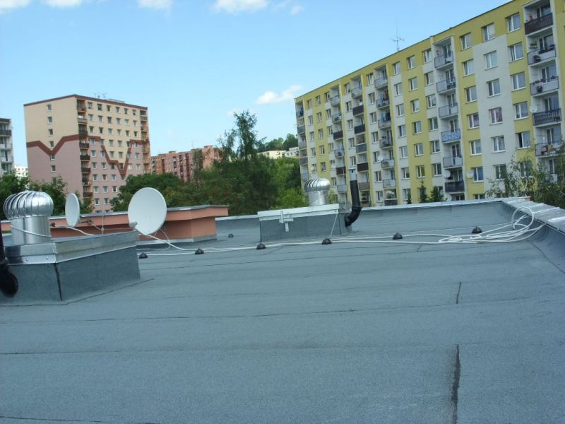 283.jpg