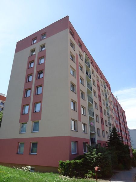 305.jpg