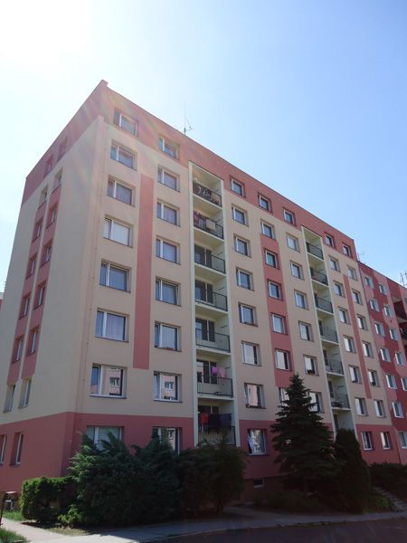 306.jpg