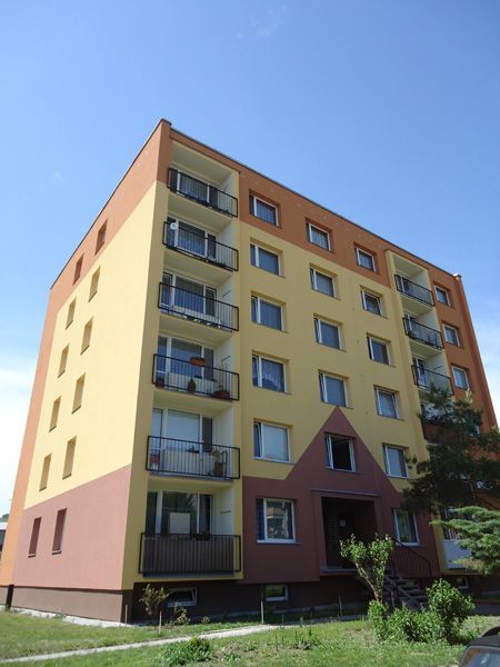 313.jpg