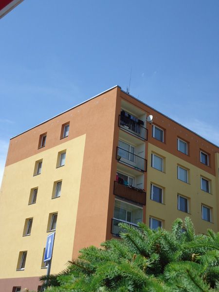 317.jpg