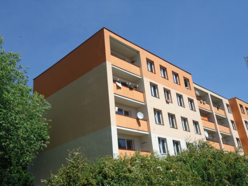 319.jpg